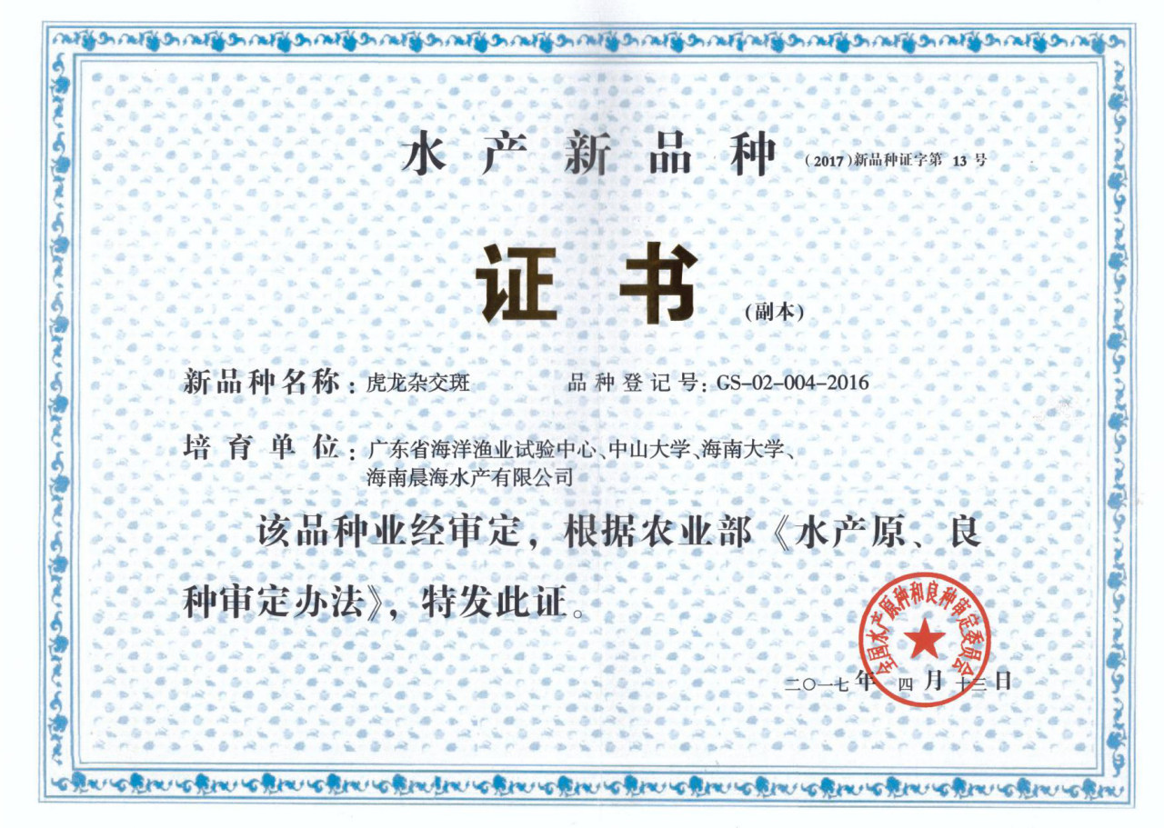 厲害了，我的“虎龍雜交斑”