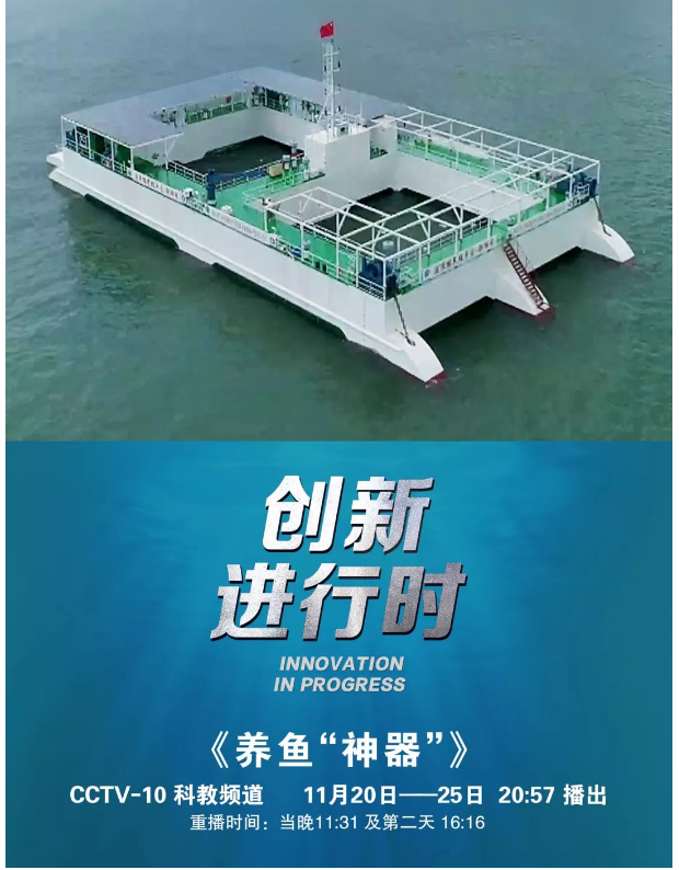 風(fēng)再猛、浪再大，都攔不住我養(yǎng)魚(yú)的雄心！